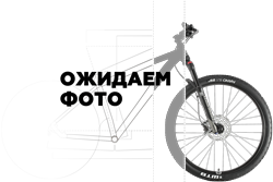 Велосипед STINGER ELEMENT EVO 29 (2024)